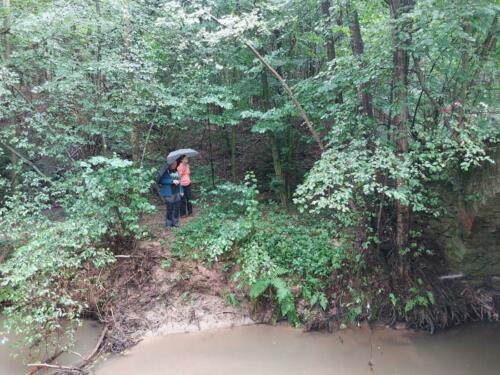 IMG-20220801-WA0016
